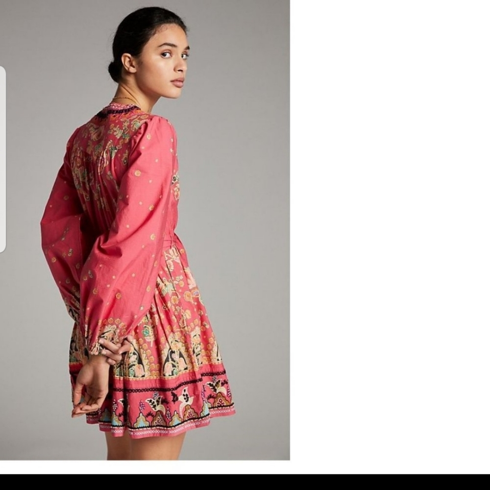 #251. Anthropologies Racquel Embroidered Mini Dress - Picture 3 of 6